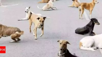 Two siblings, aged 7 & 5, killed in suspected stray dog attack in Delhi's Vasant Kunj