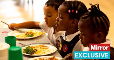 Cross-party MPs call on Jeremy Hunt to extend free school meals lifeline to families