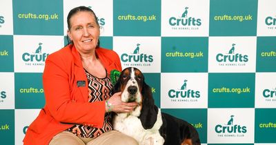 Three North East dogs win Best in Breed title at Crufts 2023