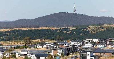 Call for town centre status as Molonglo Valley to house 50% more people than planned