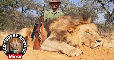 President who once banned trophy hunting begs MPs to stop wildlife 'destruction'