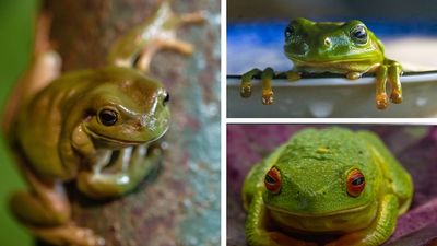 Biggest wet season ever transforms one of Australia's last untouched landscapes