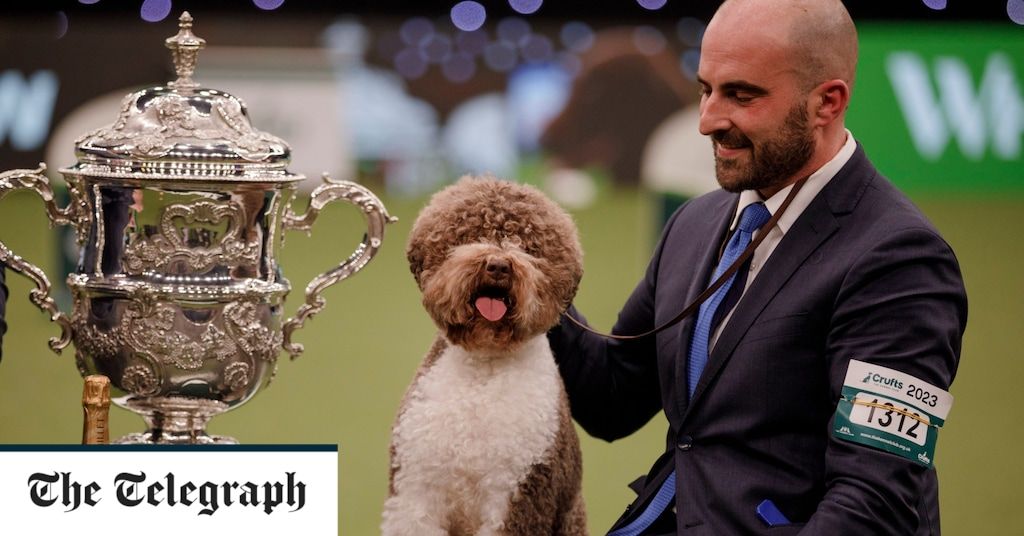 Crufts Best in Show winner revealed