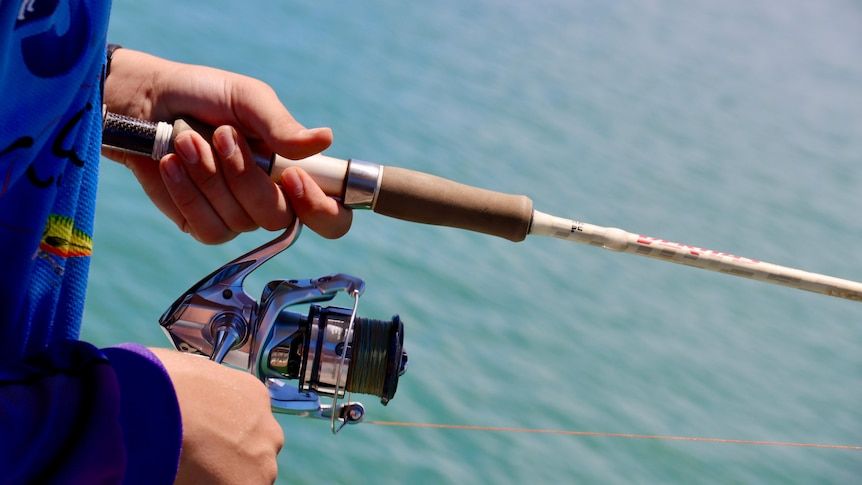 Recreational fishing survey shows sector is worth $270…