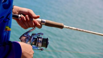 Recreational fishing survey shows sector is worth $270 million to the NT economy, as government plans to boost industry