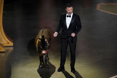 Oscars host welcomes donkey on stage in nod to The Banshees Of Inisherin