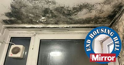Mum fears black mould spreading through home will KILL her three-year-old daughter