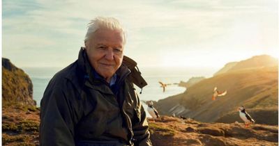 David Attenborough's controversial Wild Isles was filmed across Bristol area