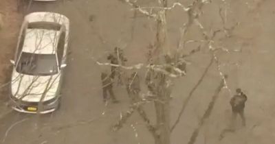 Dog walker finds hand belonging to woman buried in nearby cemetery 12 years ago