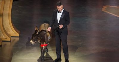 Donkey at the Oscars was not actually 'Jenny the Donkey' from Banshees of Inisherin