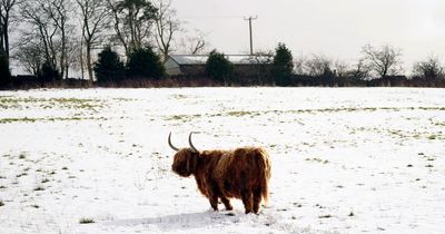 Met Office weather warnings for wind, snow and ice as cold weather hits UK again