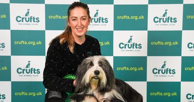 Crufts 2023: Best in Breed stars steal the show in Birmingham
