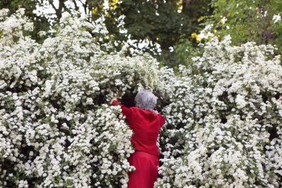 Finding My Grandmother in Portraits of Other Women