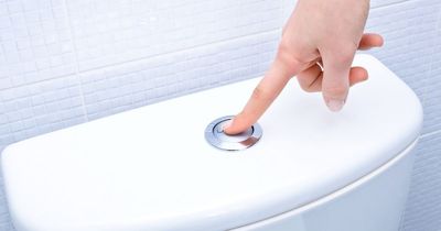 Expert explains gross reason why you're probably flushing the toilet wrong