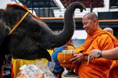 Pattaya honours elephants as part of Thai heritage