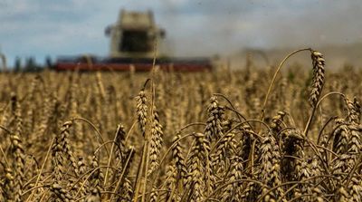 UN Seeks Extension of Key Ukraine-Russia Wartime Grain Deal