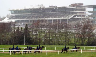 Talking Horses: Irish being whipped into line could hurt Cheltenham