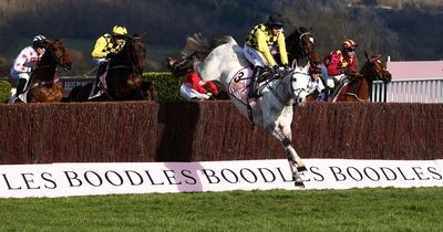 Cheltenham Festival TV channel and live stream info for this week's racing
