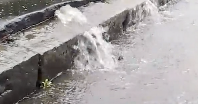 Water pours out of Edinburgh pavement despite resident reporting issue 12 months ago