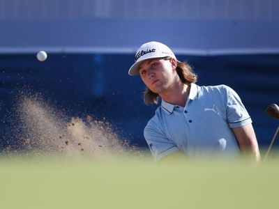 Aussie Dobbelaar clings to lead in New Zealand PGA