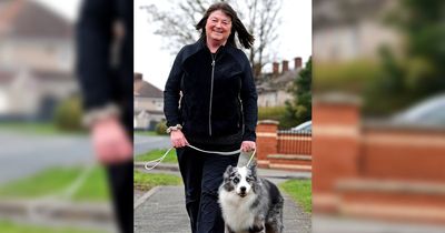 Trainer's delight as Yoshi bags Crufts win despite running 'unlucky 13th'