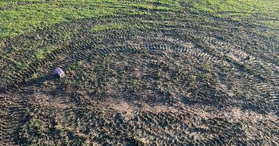 Off-road bikes destroy pitches at football club where Reds legend once played