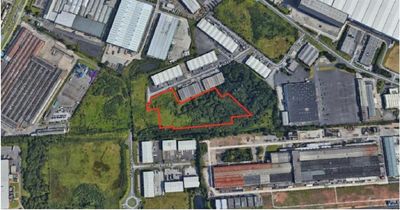 Knowsley grassland could become storage site for 400 vans