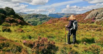 'Living in the countryside linked to having a better memory in over 50s'