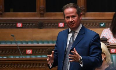 Tory MP asked to justify raising donor’s business issues in Commons