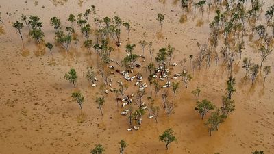 Stunning vision shows scale of outback floodwater 'bigger than anything in our lifetime'