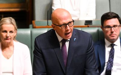 Dutton flags cut to NDIS to fund subs deal