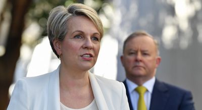‘Demoted’: Did Albanese put Plibersek in a fossil-fuel-friendly portfolio to dent her popularity?