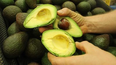 Australian Hass avocado growers to access Indian market in 'game-changer' deal