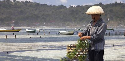 3 ways to help Indonesia grow more seafood from aquaculture, with less local impact