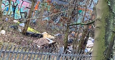 'Disgusting' fly-tipping in Gedling which 'spoils the area' for residents