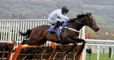 Cheltenham Festival day 1 tips as Constitution Hill looks to enhance reputation in Champion Hurdle