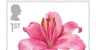 First stamps with King Charles' silhouette to go on sale in historic floral set