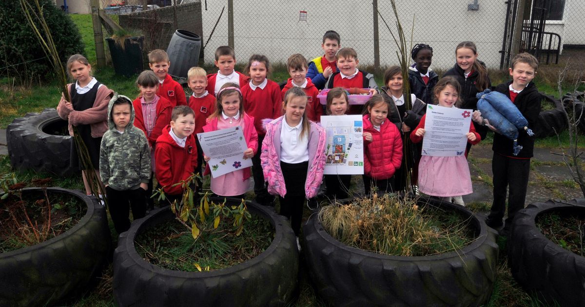 Primary pupils to see winning design turned…