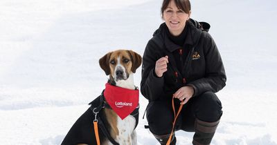 Record number of pets being surrendered as cost of living crisis bites