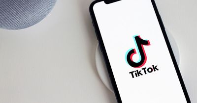 TikTok fans slam plans to ban app