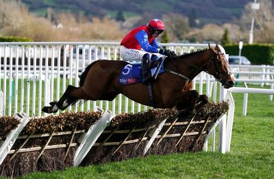 Cheltenham Festival 2023 race card, runners and full schedule