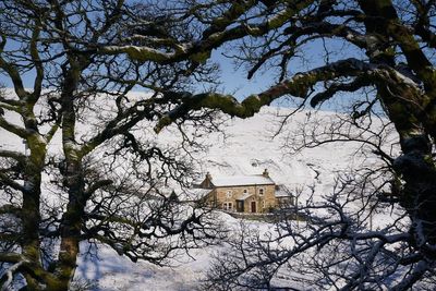 Mixed week forecast as wintry blast makes way for mild and wet conditions