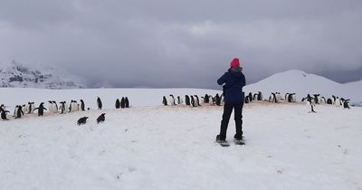 People wanted for jobs 'like no other' counting penguins at Port Lockroy in Antarctica