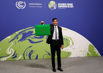 Extend net zero planning to all big companies or risk climate goals, Rishi Sunak warned
