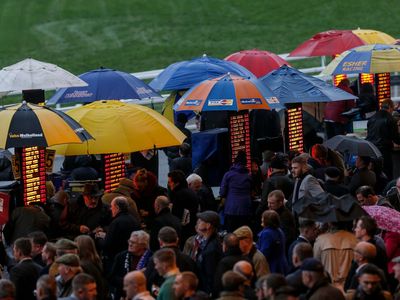 Best free bets for Cheltenham: Which bookies have best offers?