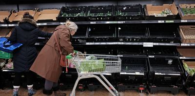 UK food shortages: how growing more fruit and veg in cities could reduce the impact of empty supermarket shelves