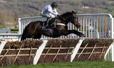 ‘Extraordinary’ Constitution Hill wins Champion Hurdle with ease