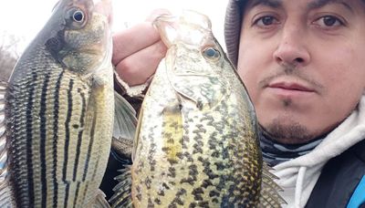 Midwest Fishing Report: Coho, back to winter (sorta), Illinois’ C&R trout opener
