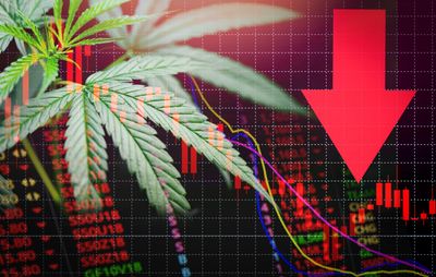 2 Risky Cannabis Stocks to Avoid Right Now