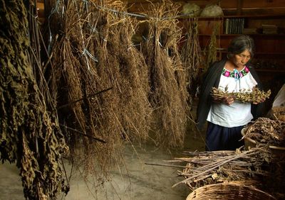 Mexico to use traditional medicine, more Cuban doctors